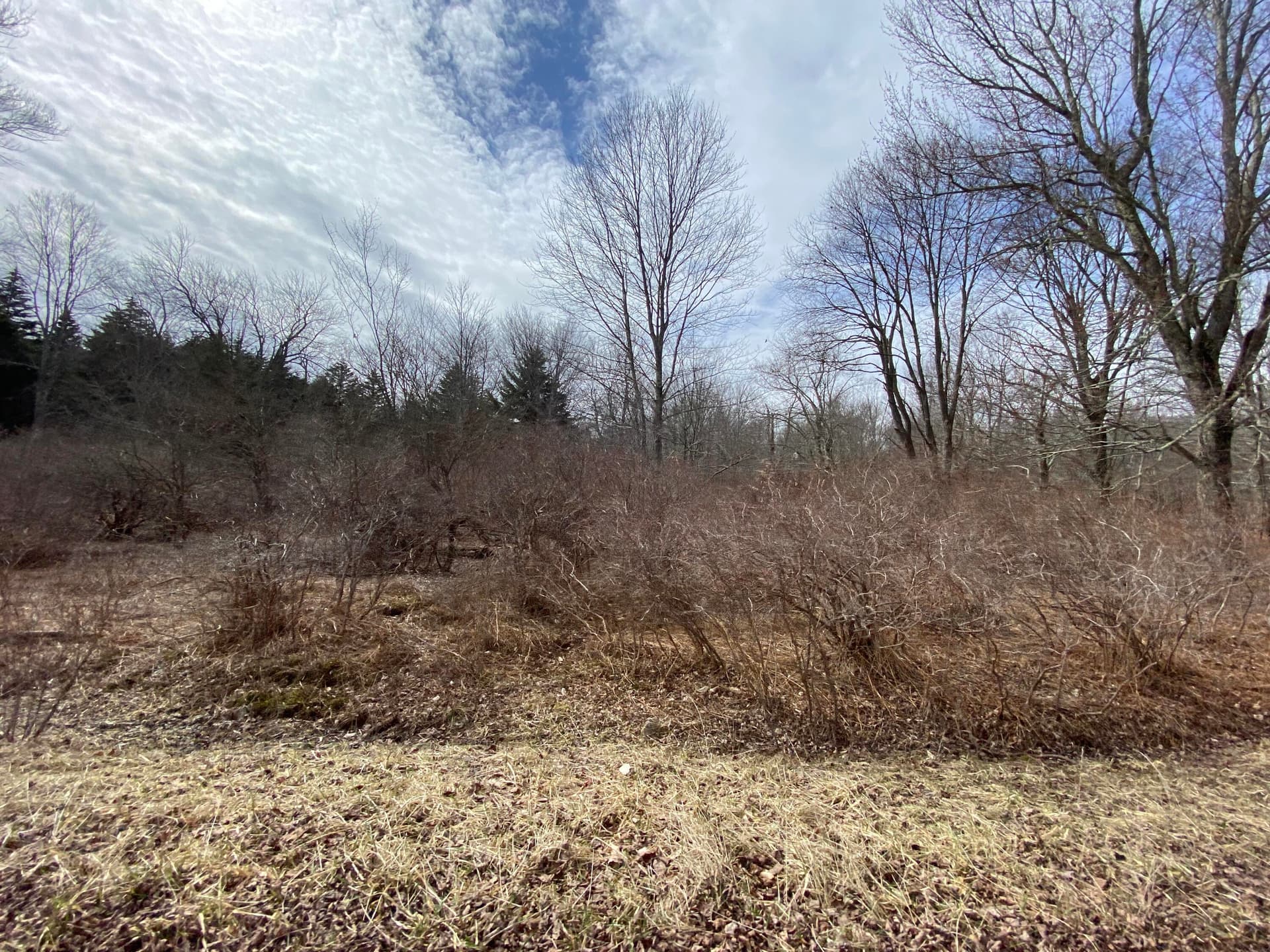 IMG_7301 - 910 Wadi Road W, Pocono Lake, PA 18347