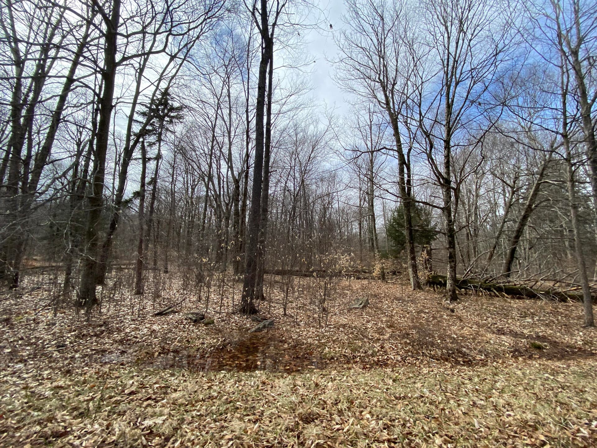 912 Wadi Road W, Pocono Lake, PA 18347