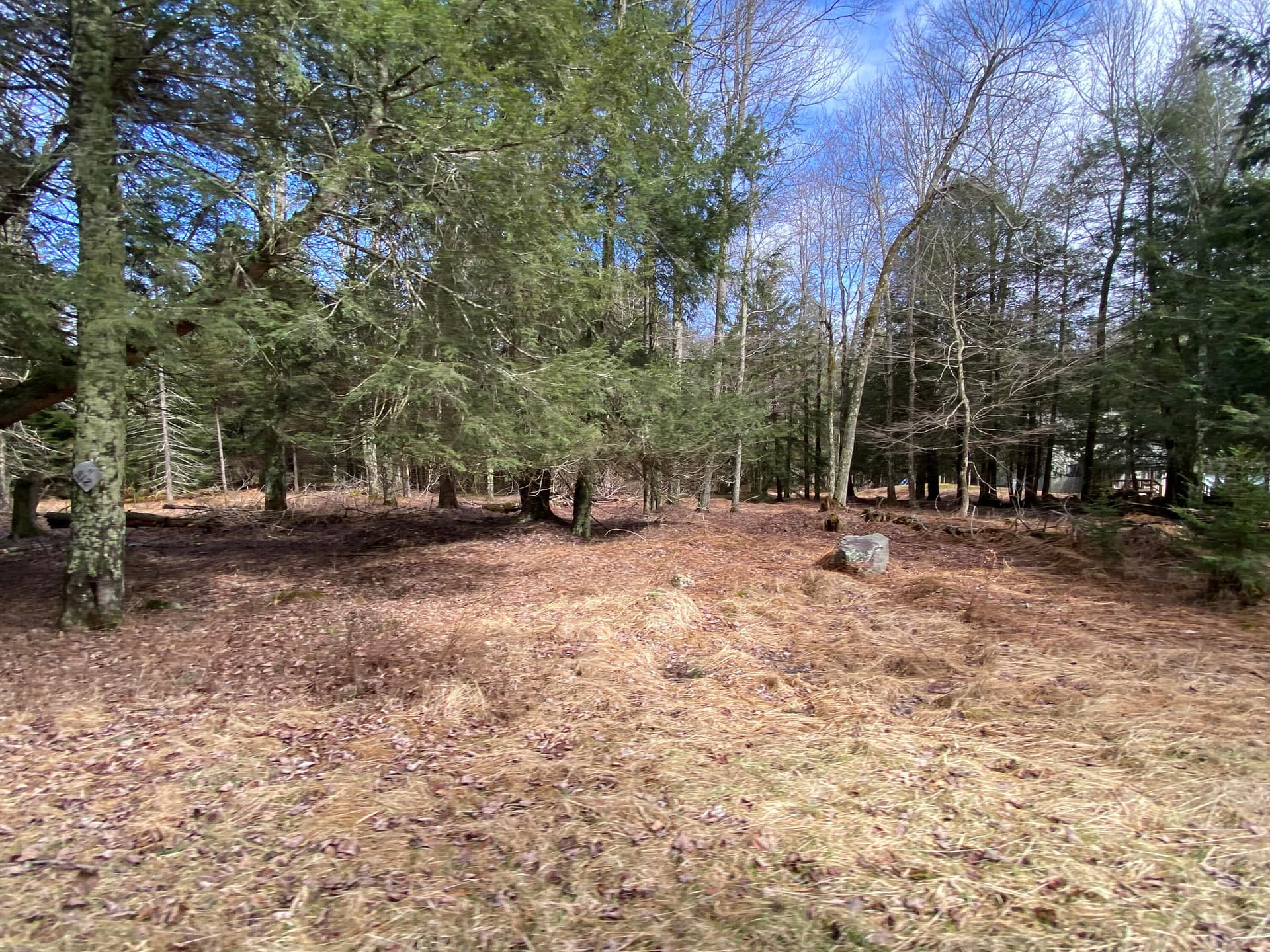 1025 W Wadi Road W, Pocono Lake, PA 18347