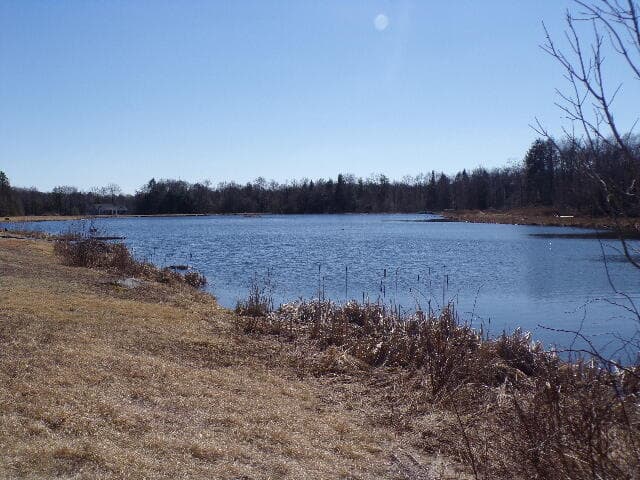 102_1895 - Lot 21 Covington Lake Drive N, Covington Township, PA 18424, Covington Township