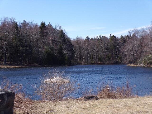 102_1902 - Lot 21 Covington Lake Drive N, Covington Township, PA 18424