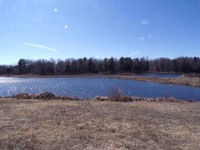 102_1905 - Lot 21 Covington Lake Drive N, Covington Township, PA 18424, Covington Township