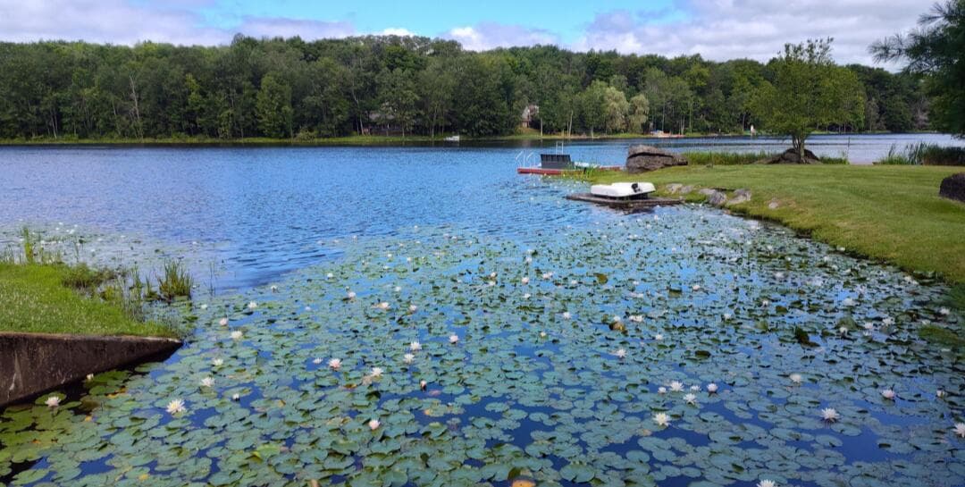 fishing lake - 43 Underwood Lane, Lake Ariel, PA 18436, Lake Ariel