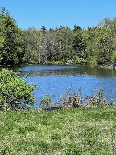 IMG_8591 - Lot 21 Covington Lake Drive N, Covington Township, PA 18424