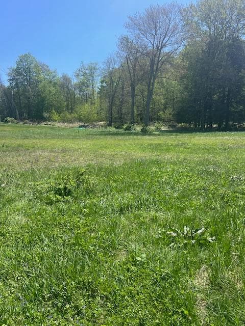 IMG_8588 - Lot 21 Covington Lake Drive N, Covington Township, PA 18424, Covington Township