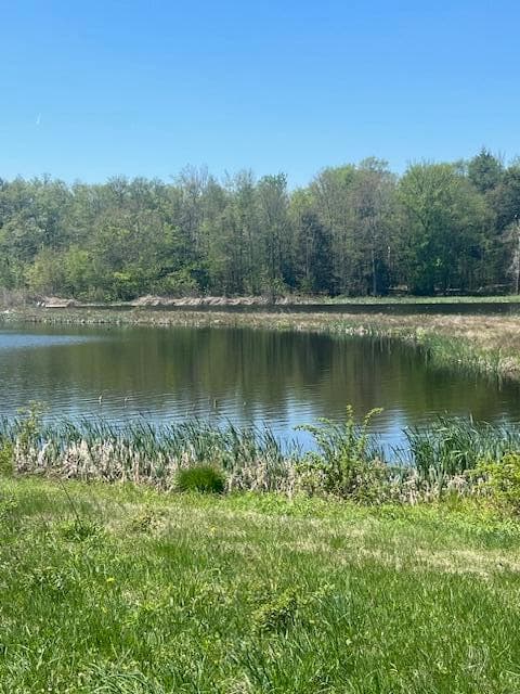 IMG_8584 - Lot 21 Covington Lake Drive N, Covington Township, PA 18424, Covington Township