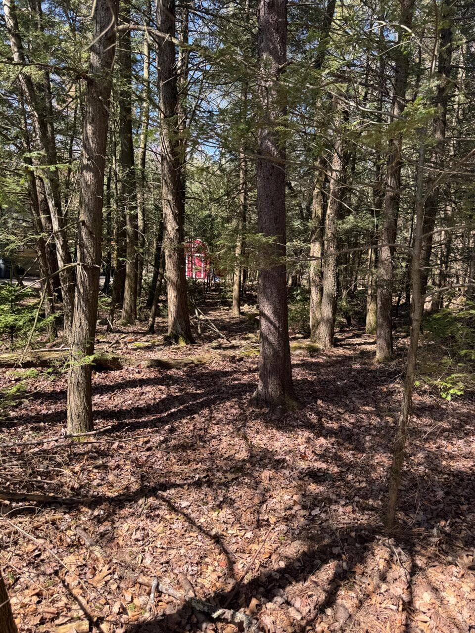 211 Alter Avenue, Pocono Summit, PA 18346