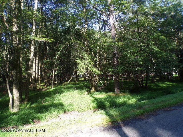 102_2045 - Lot 709A Wintergreen Trail, Albrightsville, PA 18210, Albrightsville