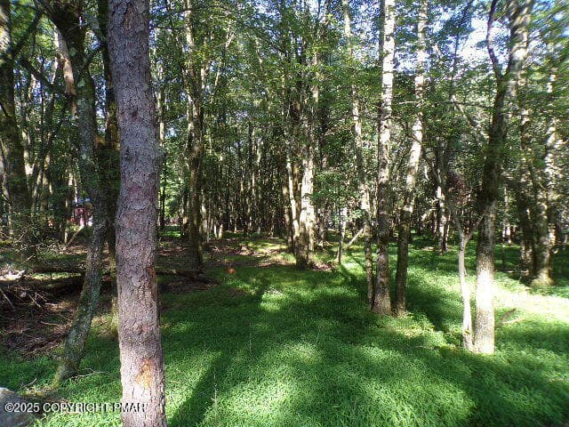 102_2046 - Lot 709A Wintergreen Trail, Albrightsville, PA 18210, Albrightsville