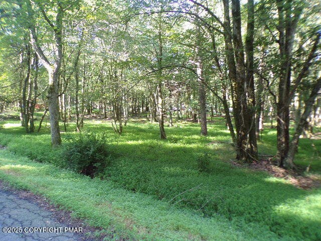 102_2049 - Lot 709A Wintergreen Trail, Albrightsville, PA 18210, Albrightsville