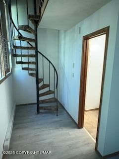 Front Entrance to 2nd Level - 7172 Mountain Drive, Tobyhanna, PA 18466, Tobyhanna