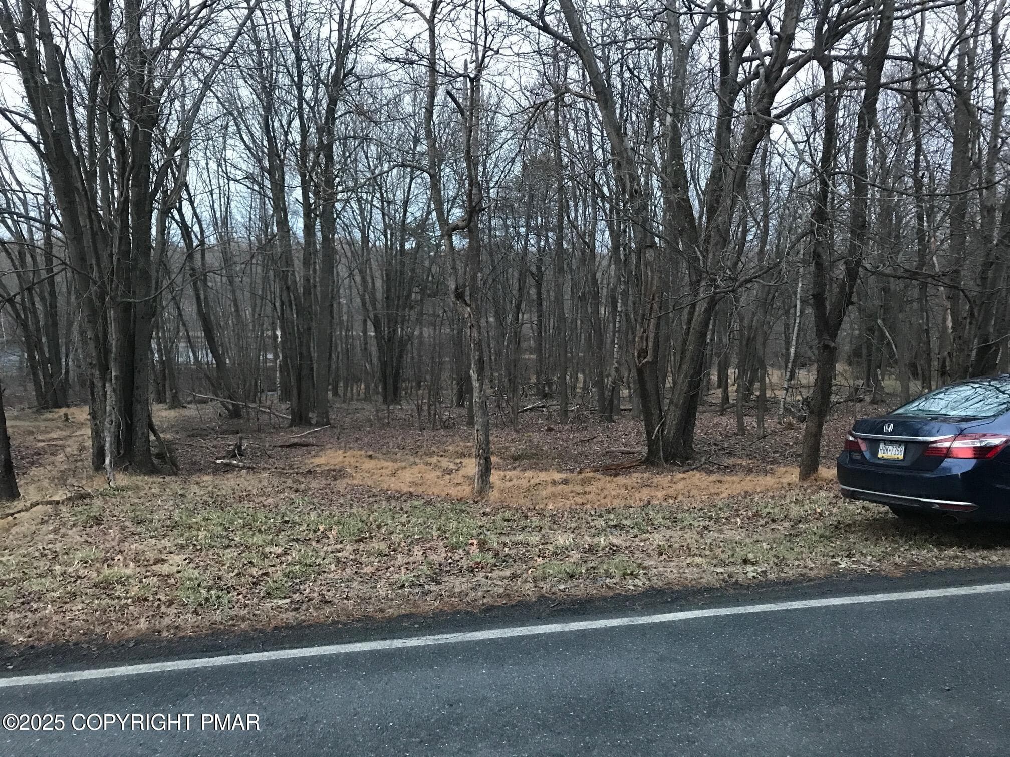 IMG_0624 - Lot 119 Mountain Rd, Albrightsville, PA 18210, Albrightsville