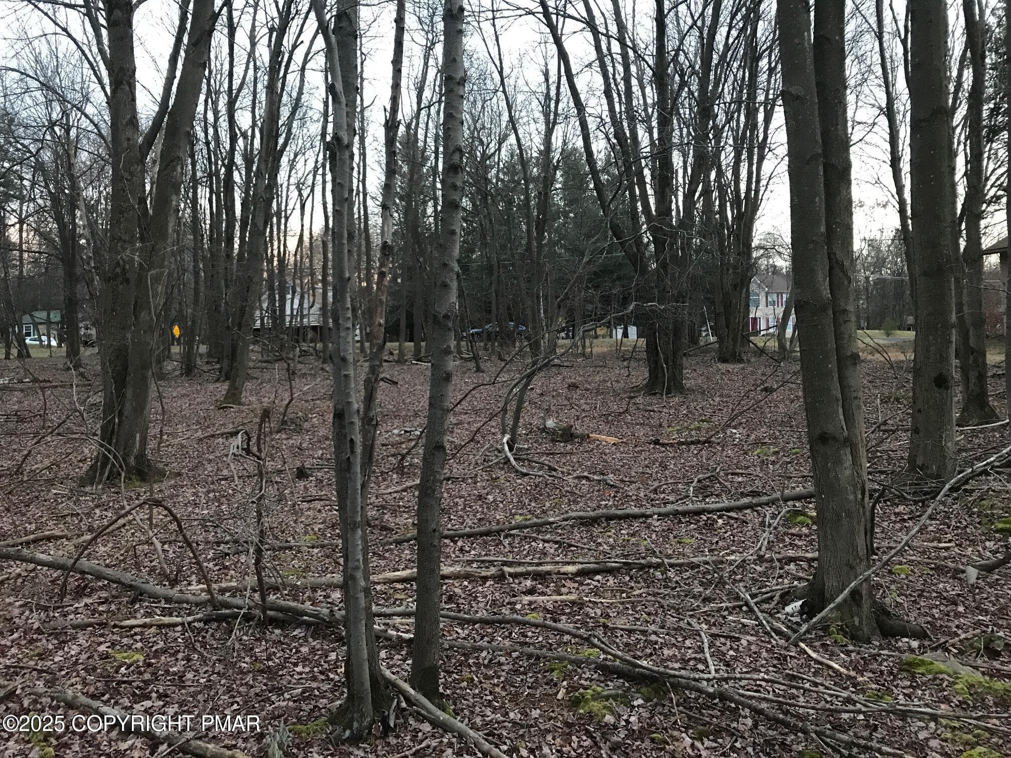 IMG_0625 - Lot 119 Mountain Rd, Albrightsville, PA 18210, Albrightsville