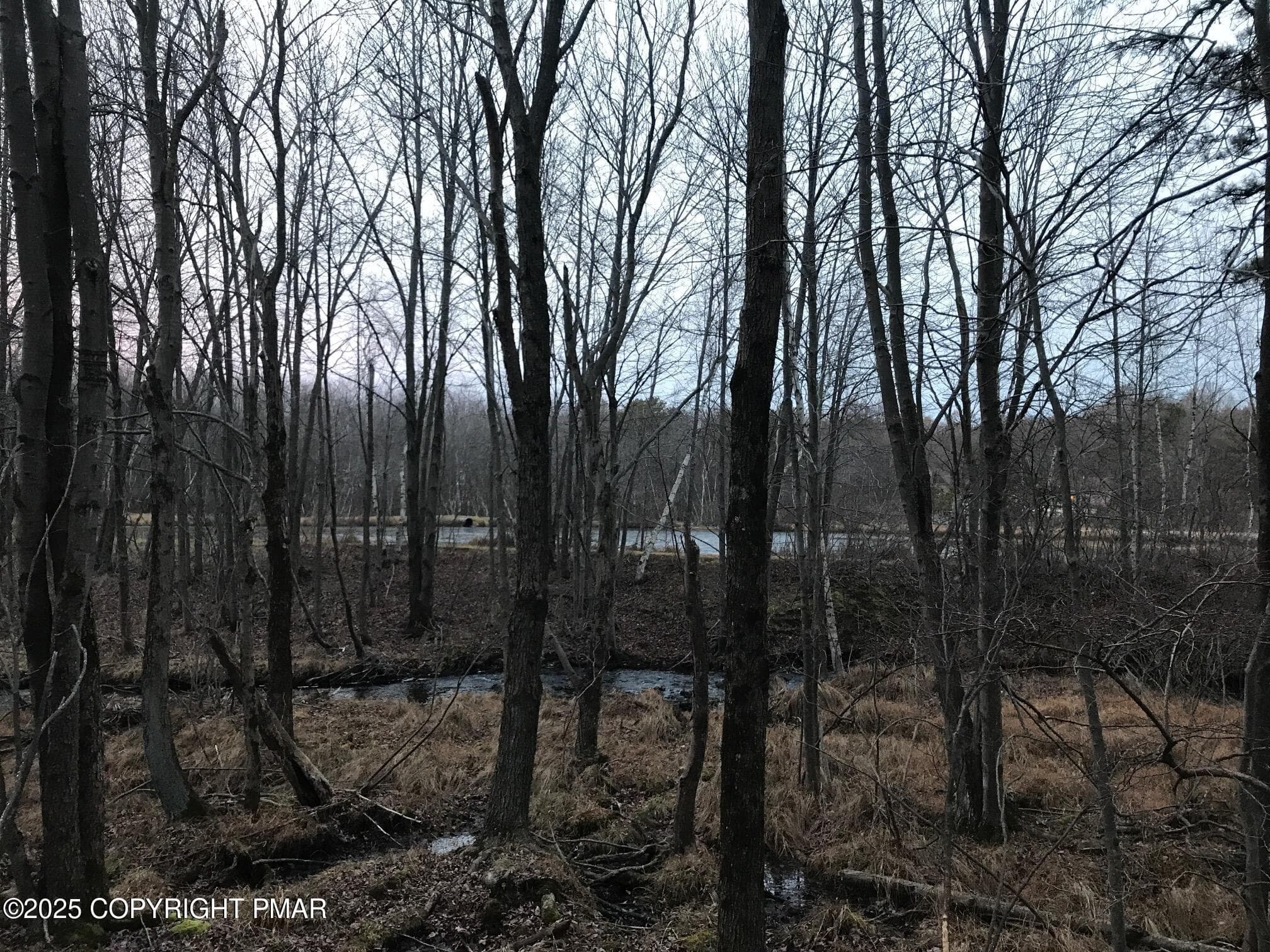 IMG_0626 - Lot 119 Mountain Rd, Albrightsville, PA 18210, Albrightsville