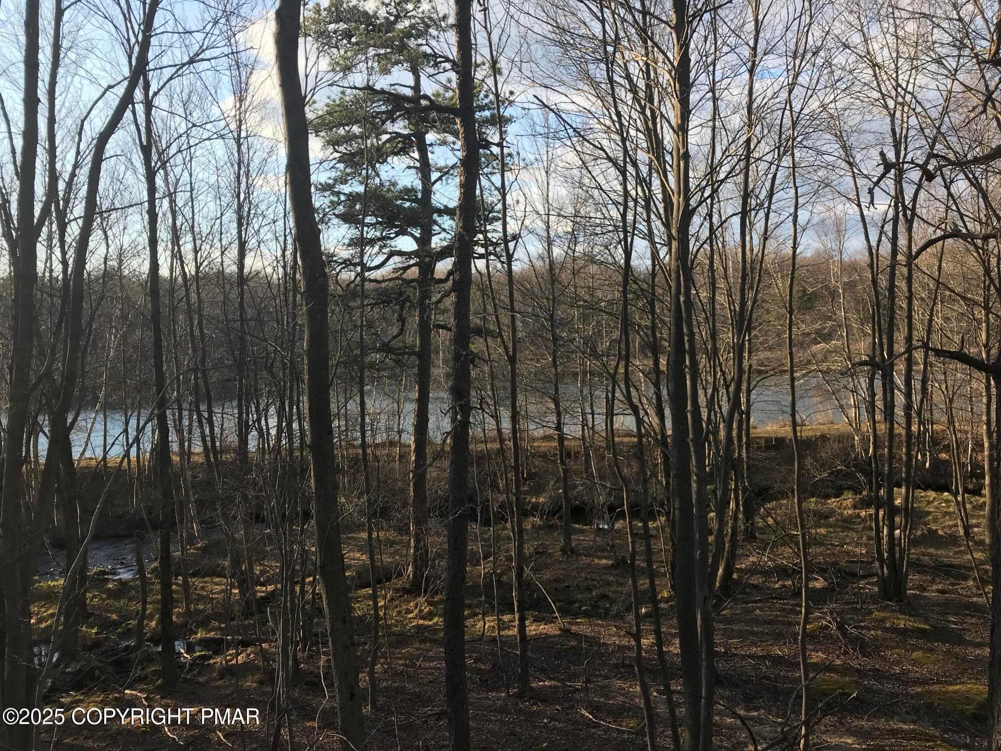 IMG_0063 - Lot 119 Mountain Rd, Albrightsville, PA 18210, Albrightsville