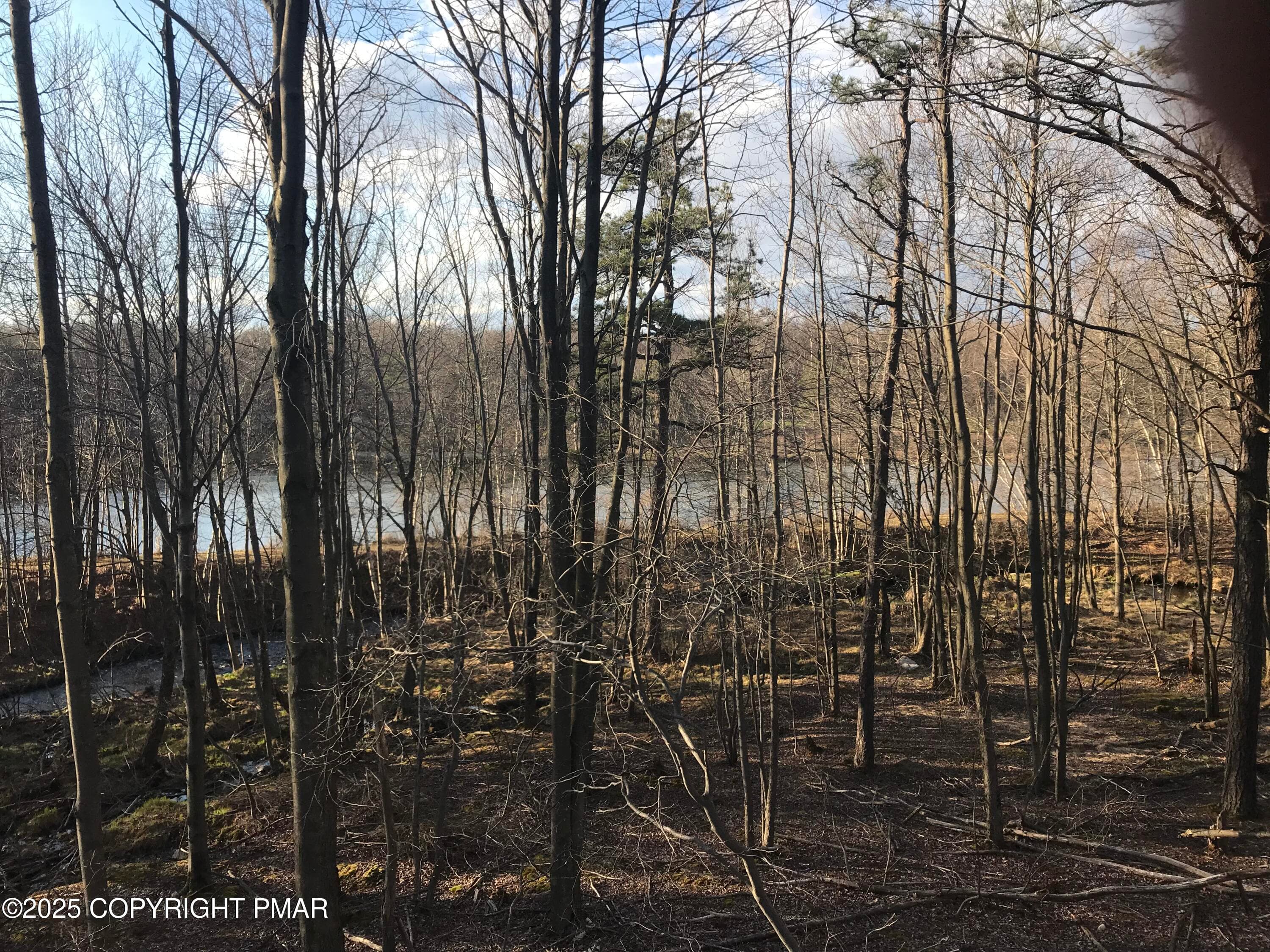IMG_2164 - Lot 119 Mountain Rd, Albrightsville, PA 18210, Albrightsville