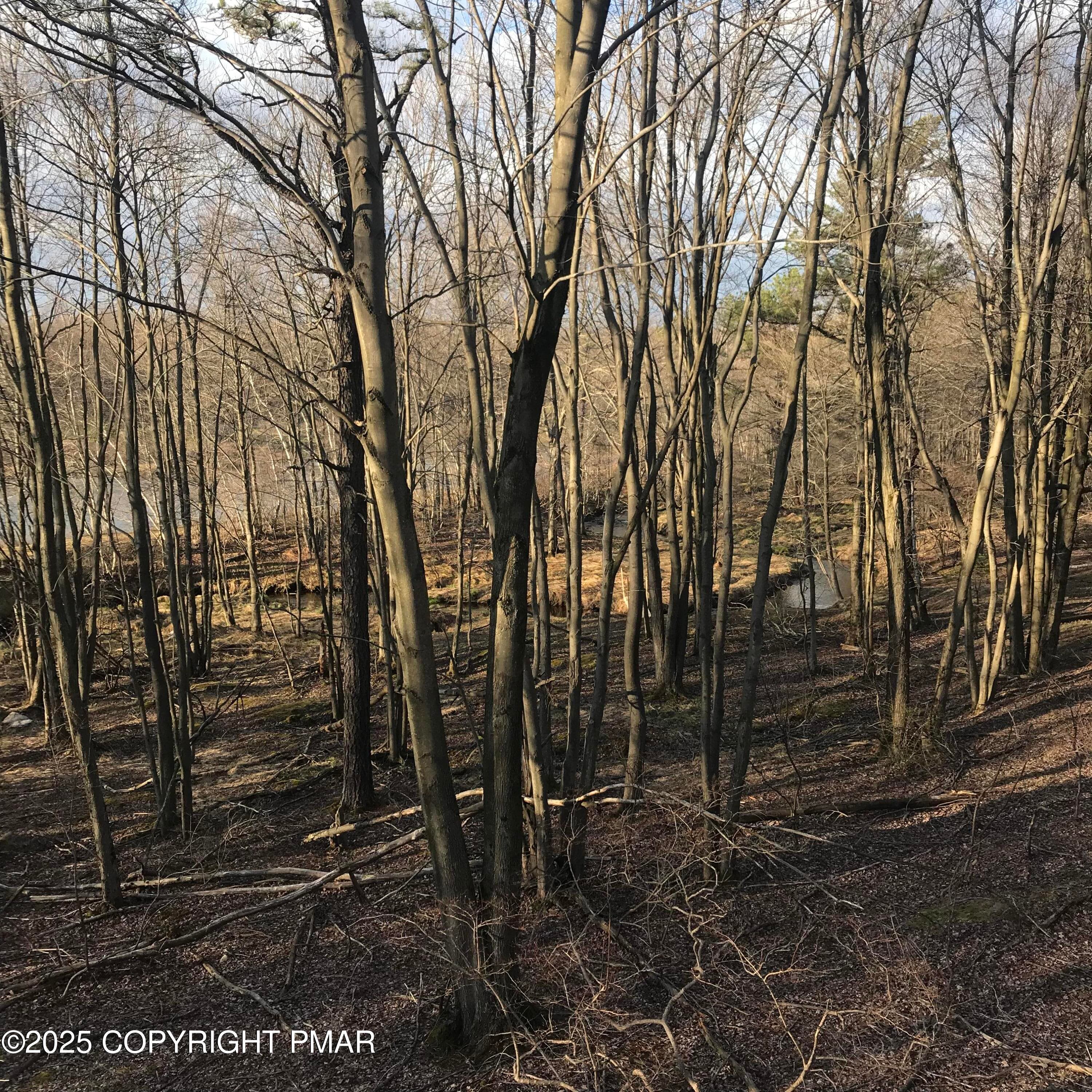IMG_1125 - Lot 119 Mountain Rd, Albrightsville, PA 18210, Albrightsville