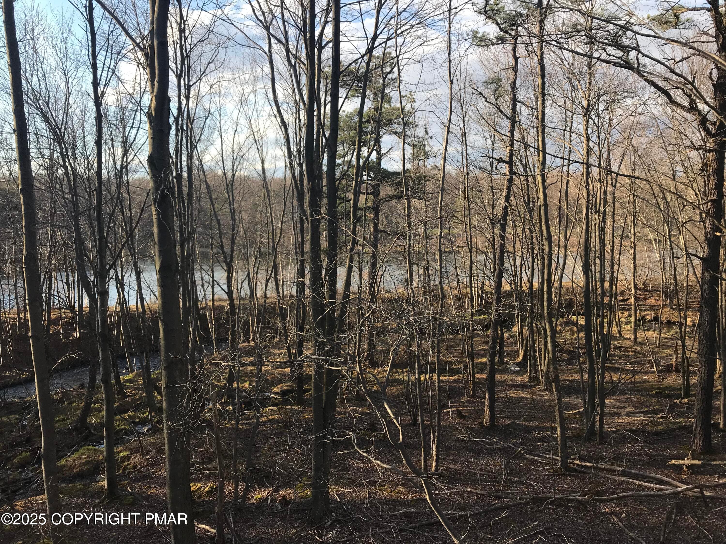 IMG_2494 - Lot 119 Mountain Rd, Albrightsville, PA 18210, Albrightsville