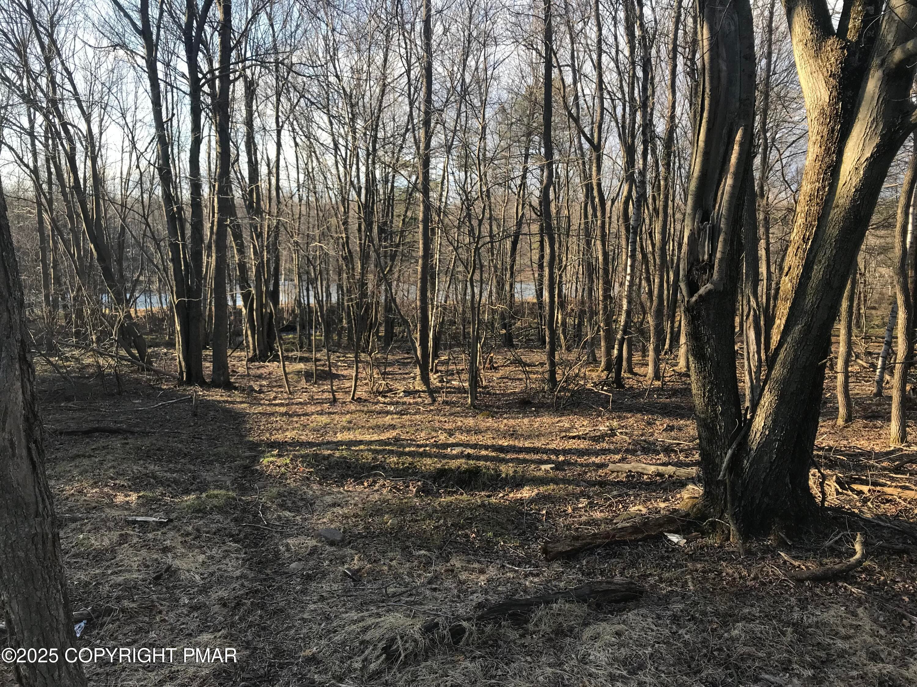 IMG_6834 - Lot 119 Mountain Rd, Albrightsville, PA 18210, Albrightsville