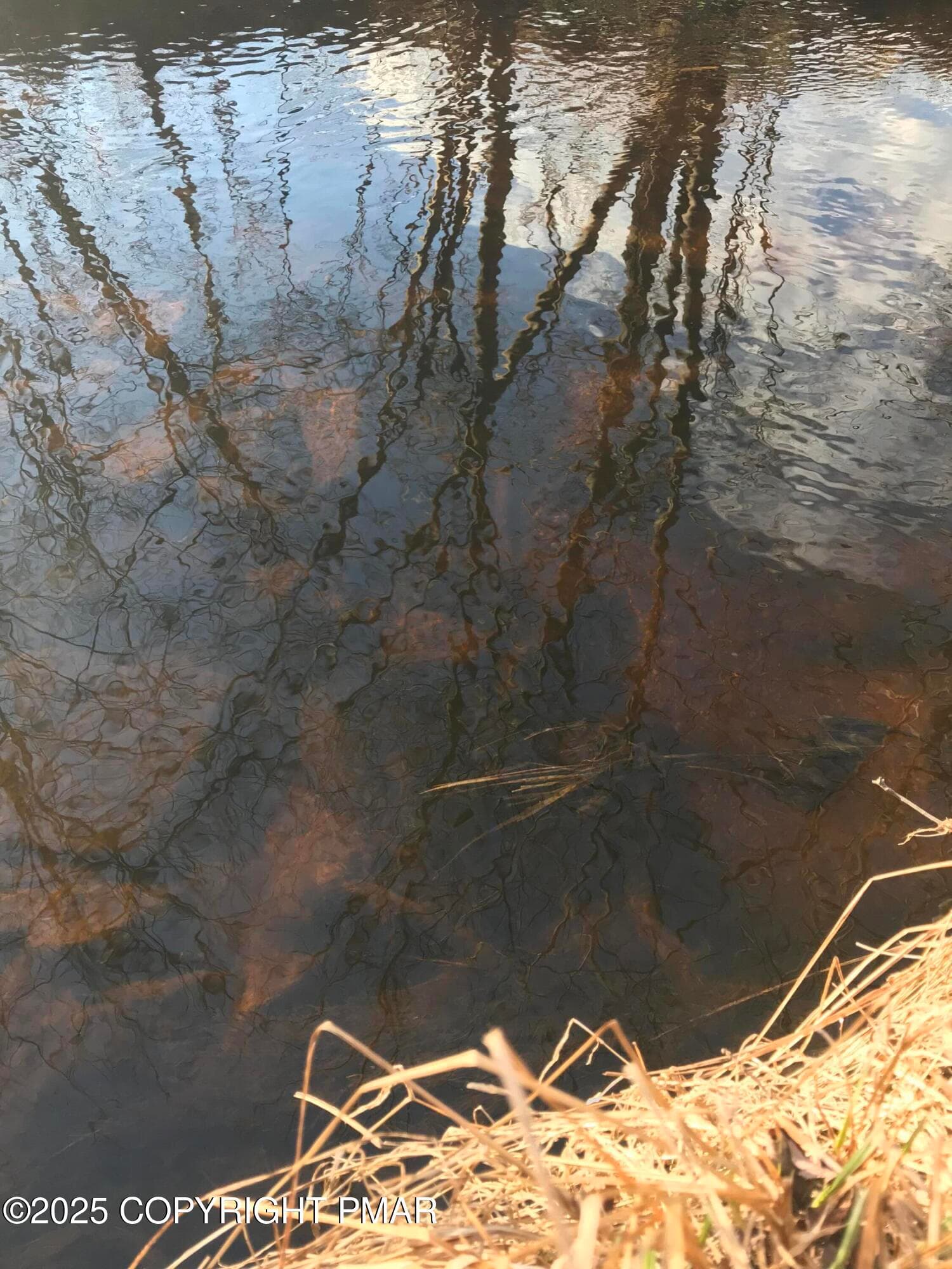 IMG_8853 - Lot 119 Mountain Rd, Albrightsville, PA 18210, Albrightsville