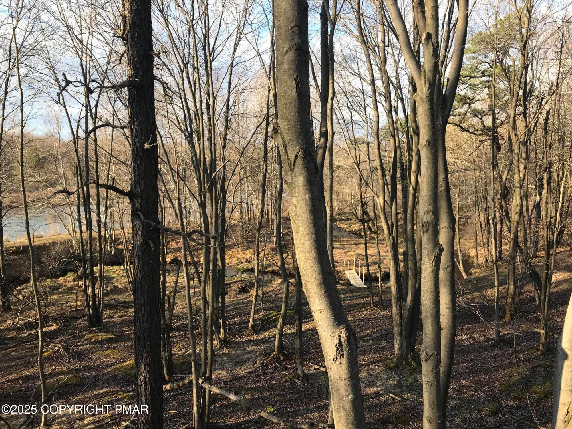 IMG_9560 - Lot 119 Mountain Rd, Albrightsville, PA 18210, Albrightsville