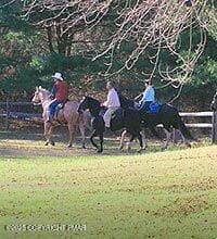 things_to_do-horseback - 126-128 E Broad Street, Tamaqua, PA 18252, Tamaqua