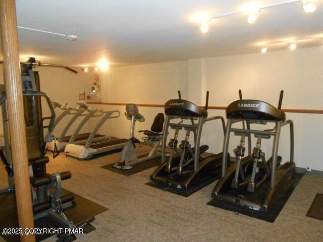 Fitness Room - 55 Partridge Place, Covington Township, PA 18424, Covington Township