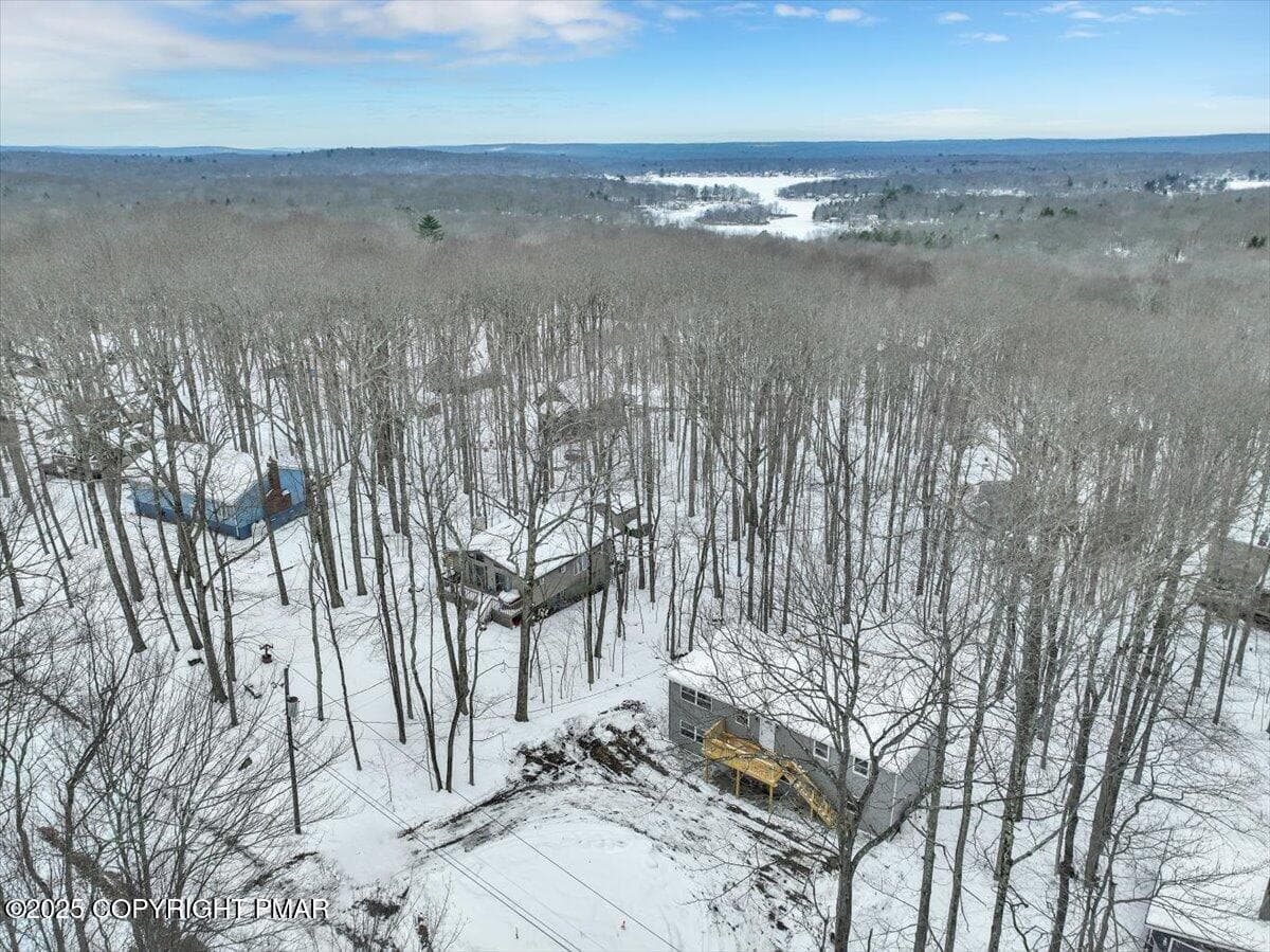 50-DJI_0711 - 243 White Pine Drive, Pocono Lake, PA 18347, Pocono Lake