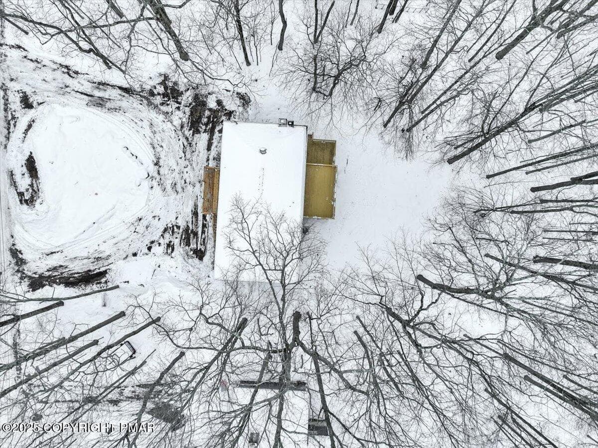 52-DJI_0714 - 243 White Pine Drive, Pocono Lake, PA 18347, Pocono Lake