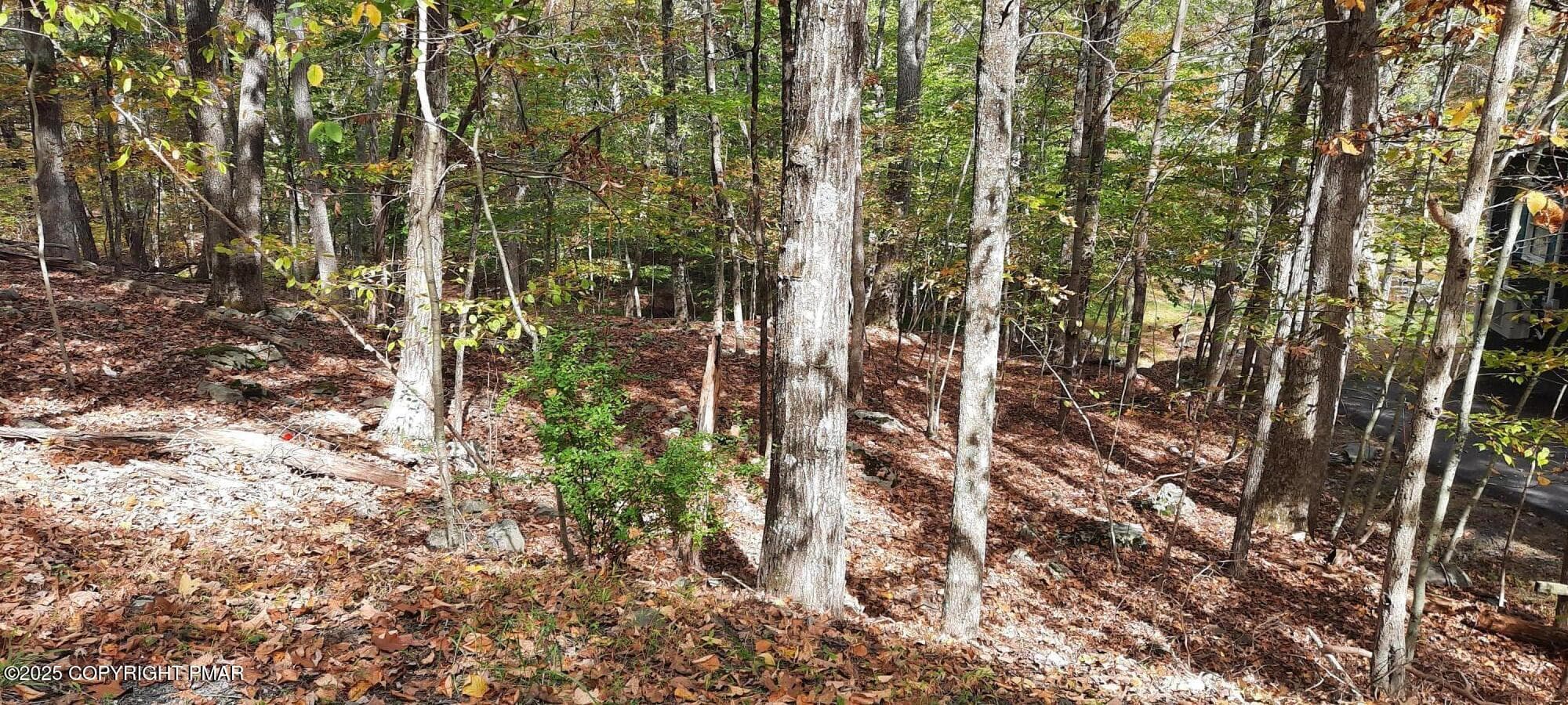 Decker Rd 6 - Lot 8 Sec 24 Decker Road, Bushkill, PA 18324, Bushkill