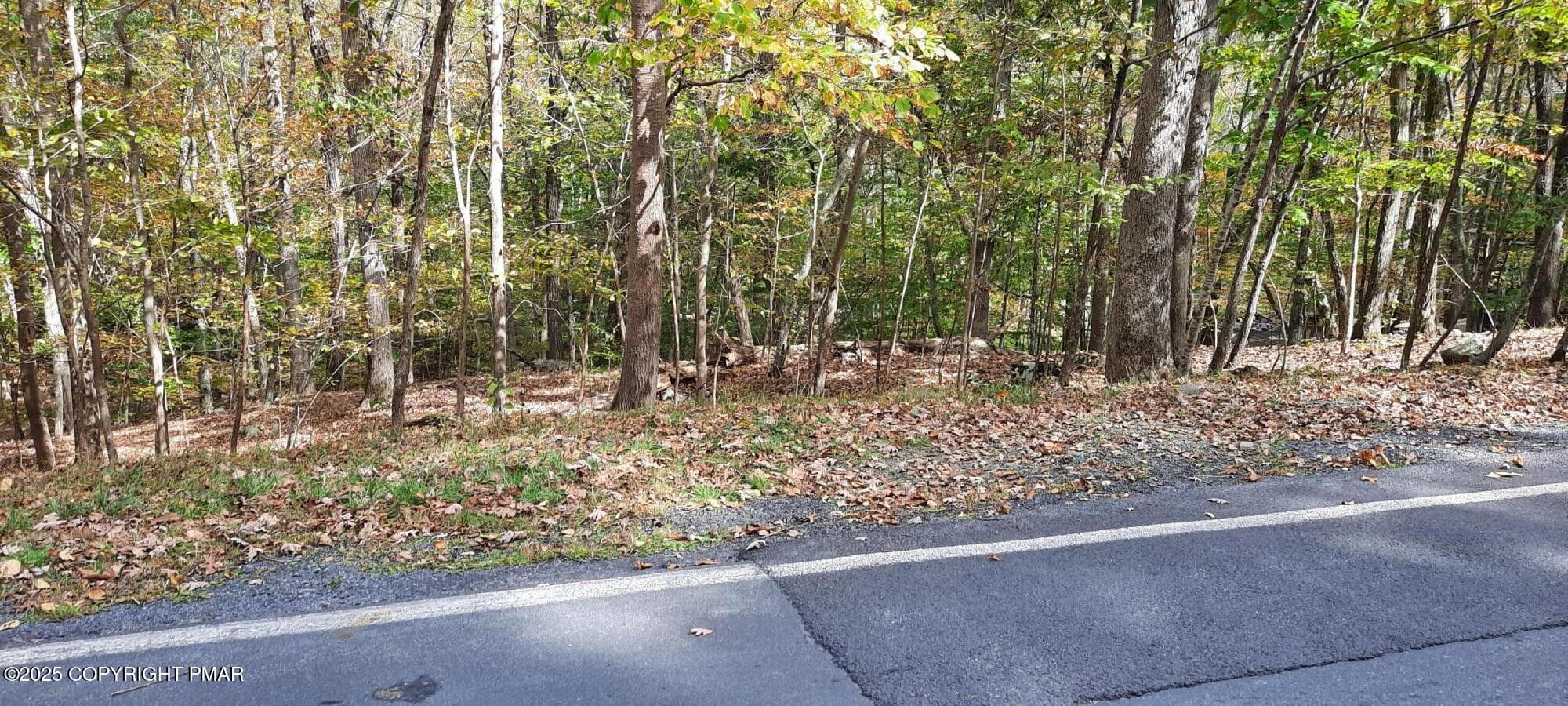 Decker Rd 1 - Lot 8 Sec 24 Decker Road, Bushkill, PA 18324, Bushkill