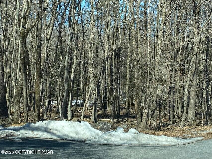 Lang & Jeffers Woods - Jeffers Way & Lang Way, Albrightsville, PA 18210, Albrightsville