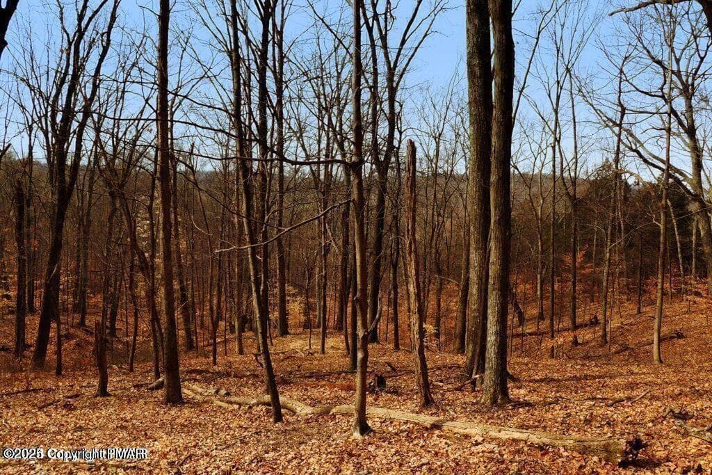 20240105215056007247000000-o - 407 Pine Tree, Albrightsville, PA 18210, Albrightsville