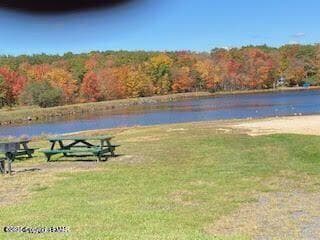 20240105215051665825000000-o - 407 Pine Tree, Albrightsville, PA 18210, Albrightsville
