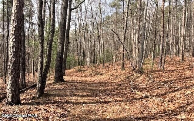 20240105215056998600000000-o - 406 Deerfoot Lane, Albrightsville, PA 18210, Albrightsville