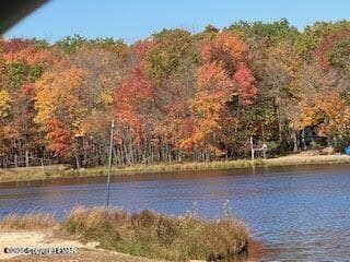 20240105215050030709000000-o - 406 Deerfoot Lane, Albrightsville, PA 18210, Albrightsville