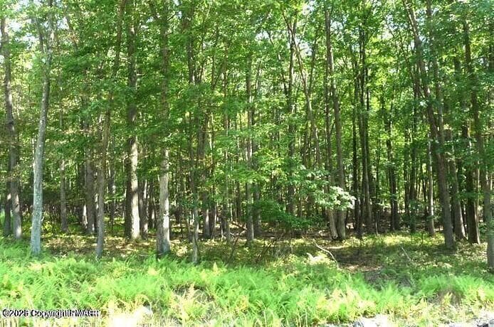 20240109160601245896000000-o - 132 Kenoza Drive, Hazleton, PA 18202, Hazleton
