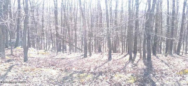 20240109160932167016000000-o - 132 Kenoza Drive, Hazleton, PA 18202, Hazleton