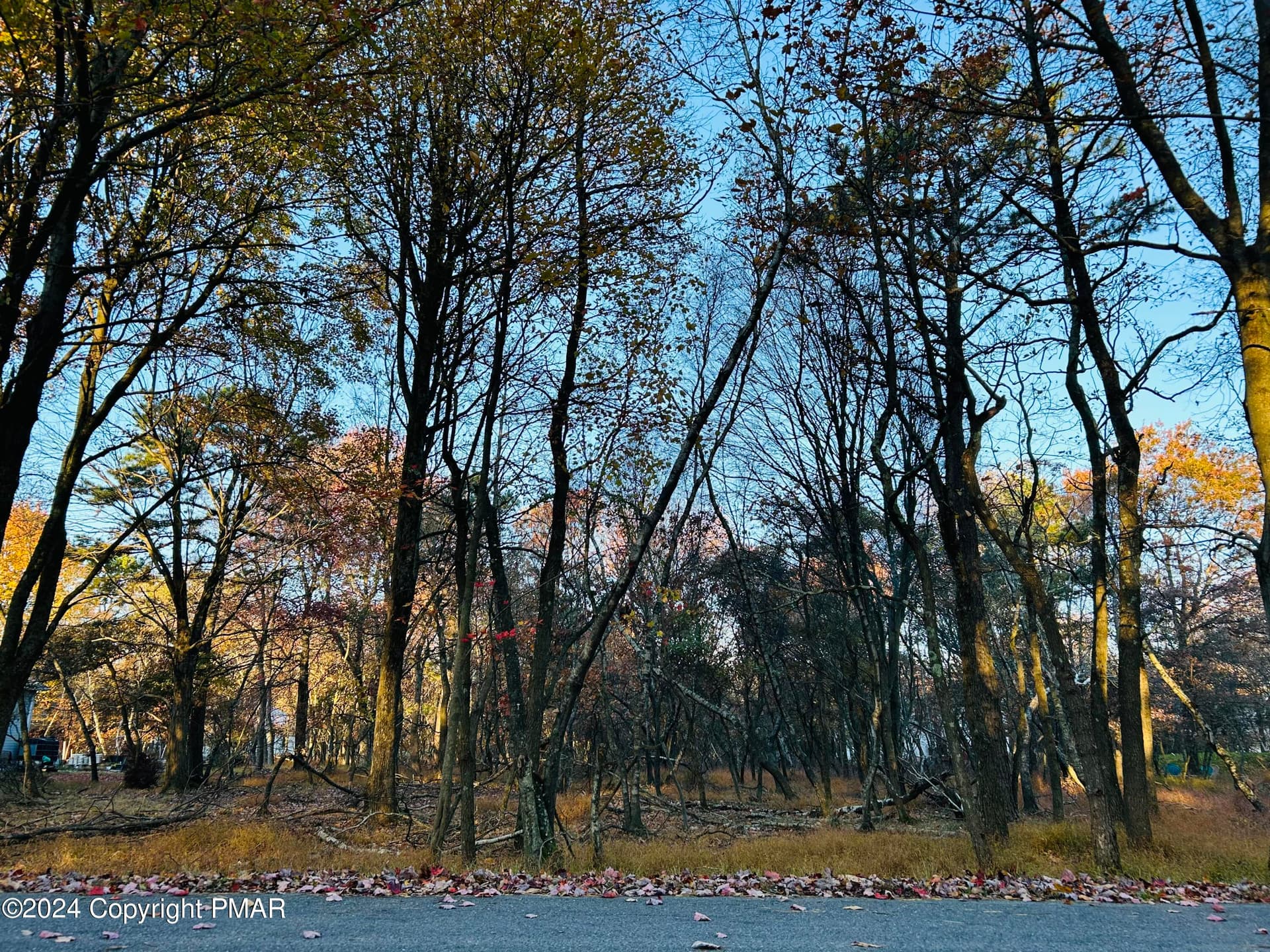 1807 Penn Forest Drive, Albrightsville, PA 18210