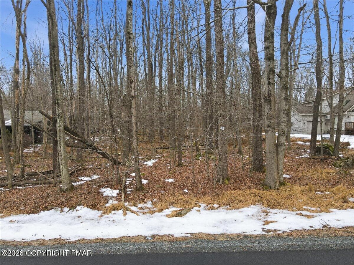 17-011_Photo Jan 14 2026, 11 16 35 AM - 37 Lyman Lane, Clifton Township, PA 18424, Clifton Township
