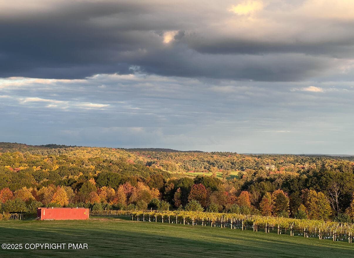 Vineyard - 1212 Burger Hollow Road, Effort, PA 18330, Effort