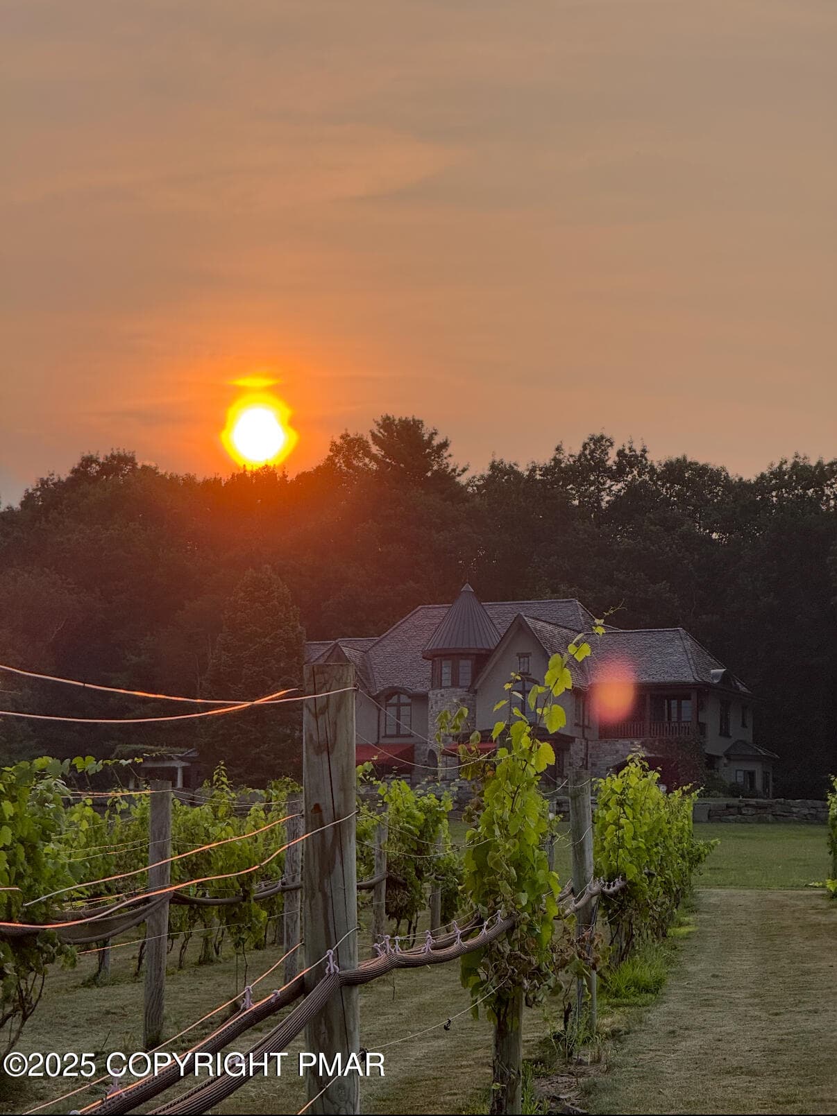 Vineyard - 1212 Burger Hollow Road, Effort, PA 18330, Effort