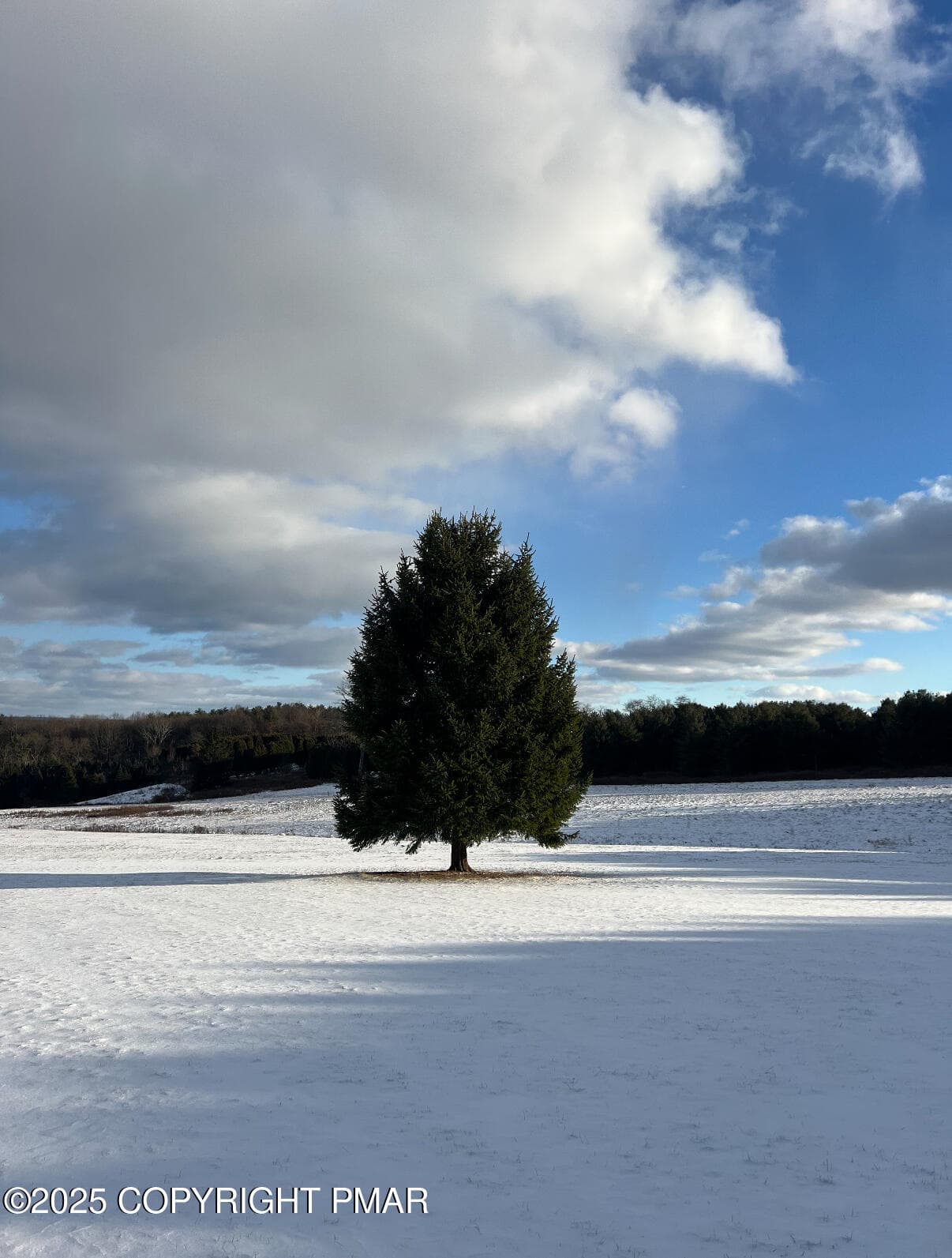 Winter - 1212 Burger Hollow Road, Effort, PA 18330, Effort