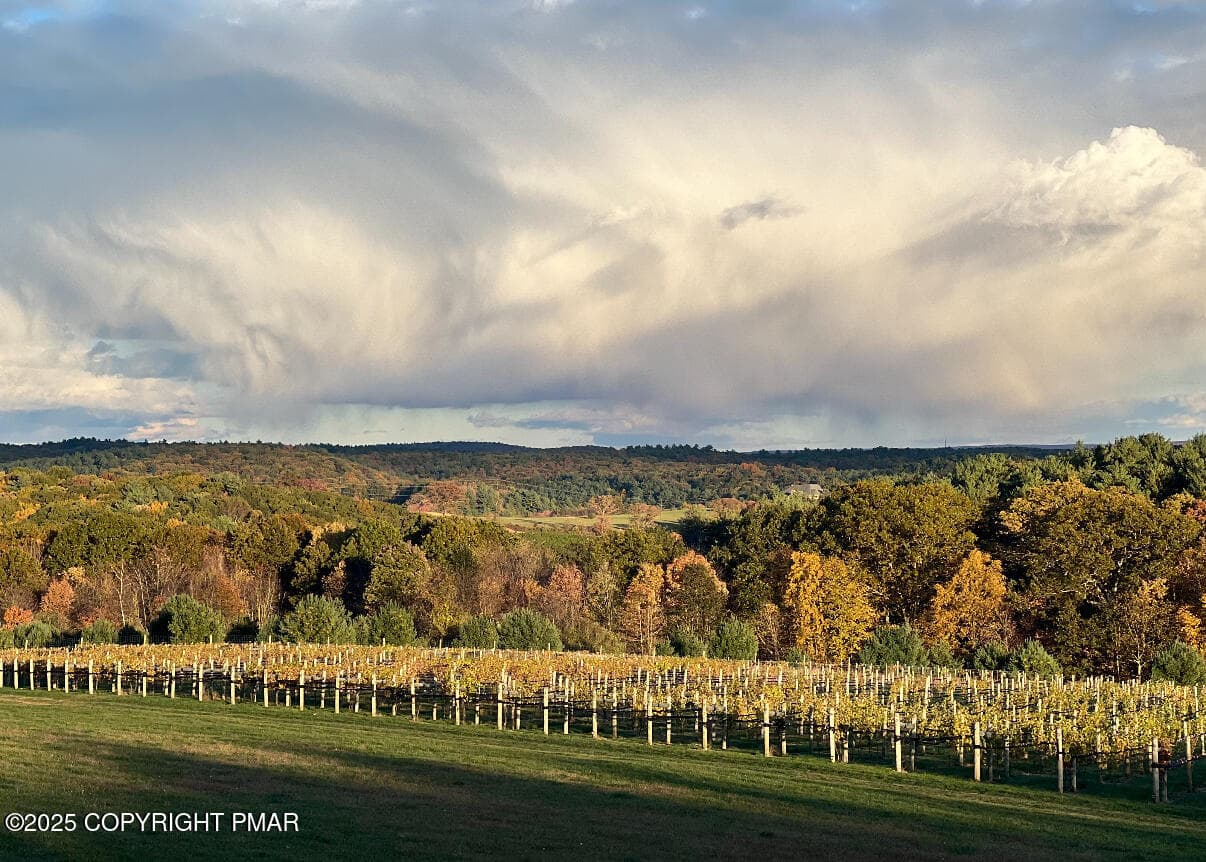 Vineyard - 1212 Burger Hollow Road, Effort, PA 18330, Effort