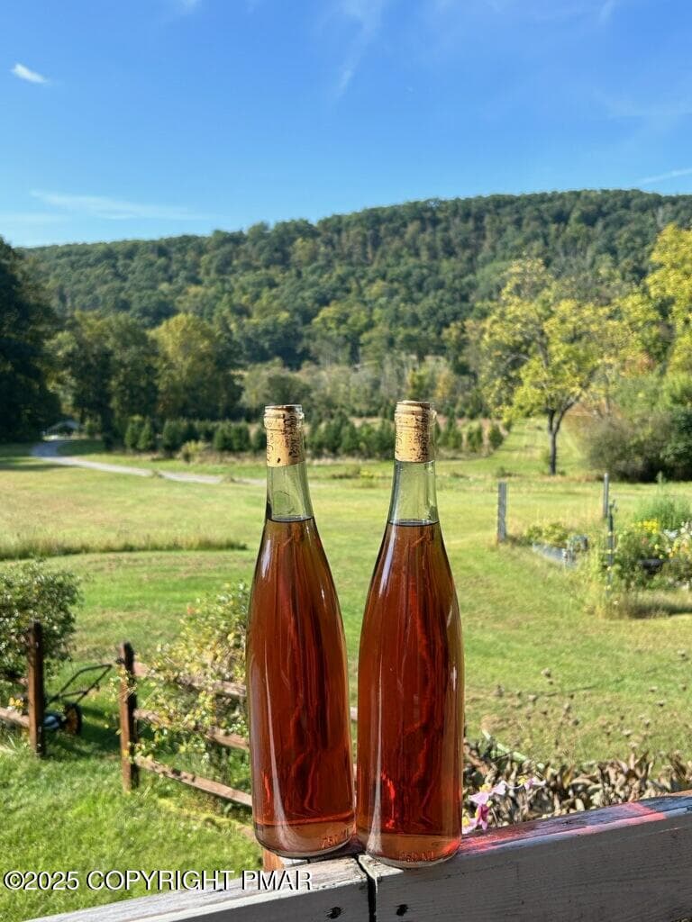 Wine - 1212 Burger Hollow Road, Effort, PA 18330, Effort