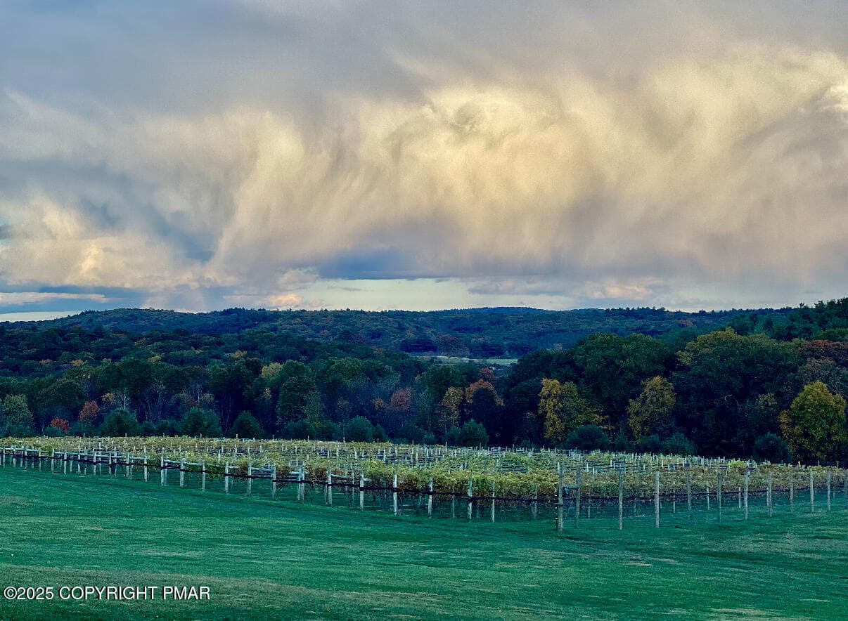 Vineyard - 1212 Burger Hollow Road, Effort, PA 18330, Effort