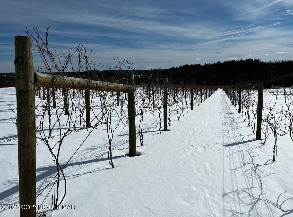 Winter - 1212 Burger Hollow Road, Effort, PA 18330, Effort