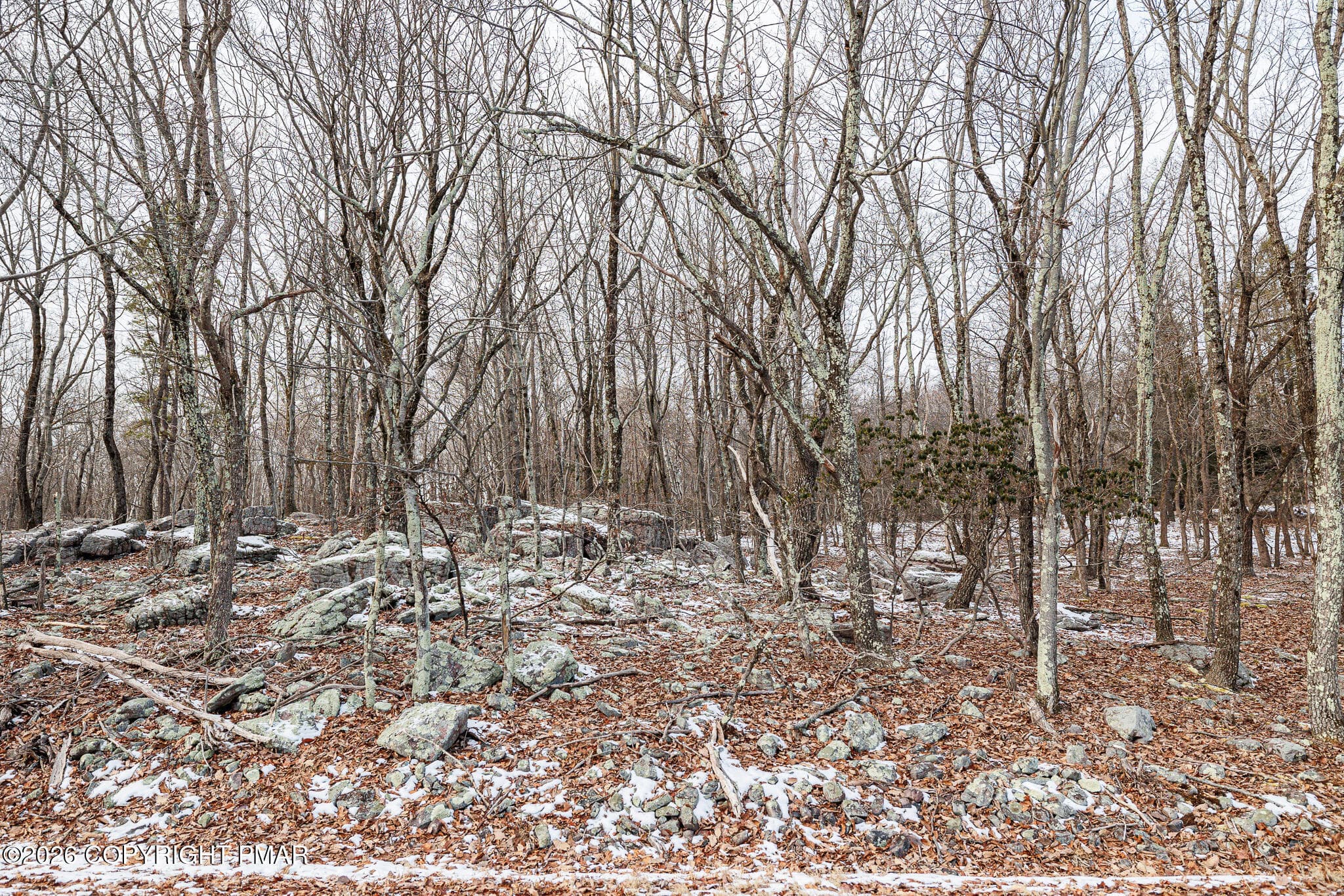 Street View - Lot 325 Blairwood Lane, Albrightsville, PA 18210, Albrightsville
