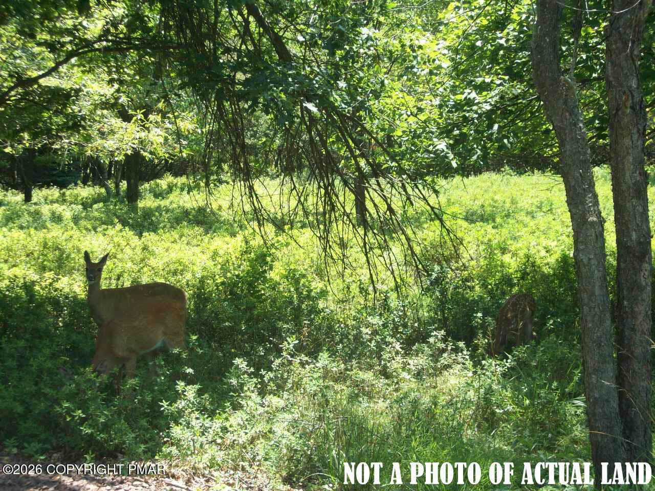 CP1082 Meckesville Road, Albrightsville, PA 18210