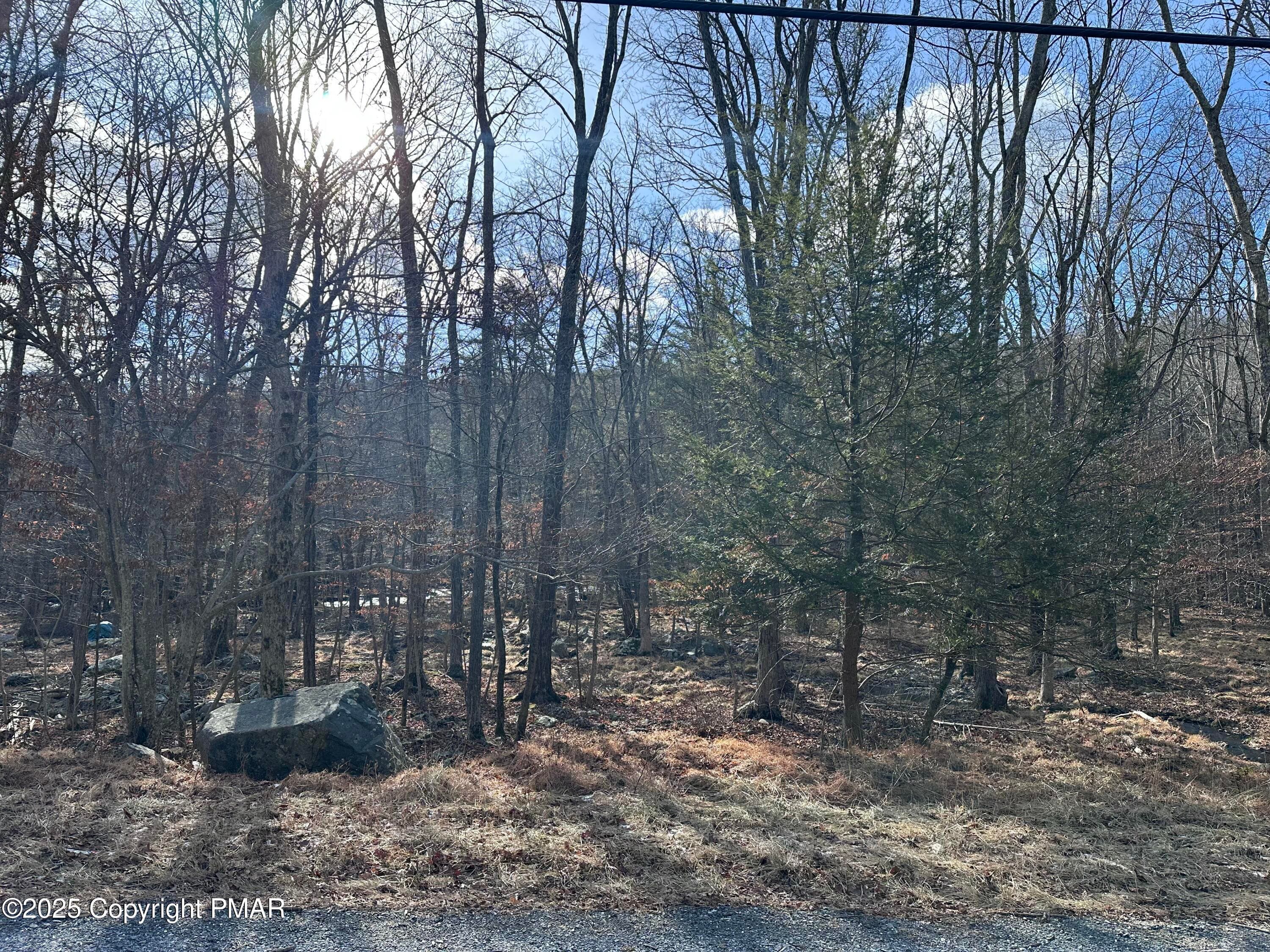 IMG_9346 - Lot 736 Decker Road, Bushkill, PA 18324, Bushkill